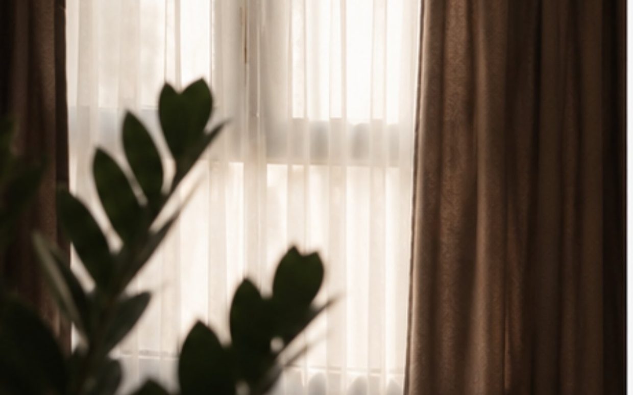 Φως που περνά από τη λευκή κουρτίνα του γραφείου, με ένα φυτό στο πρώτο πλάνο