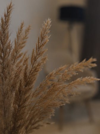 Ξερά άνθη σε βάζο μπροστά από την πολυθρόνα